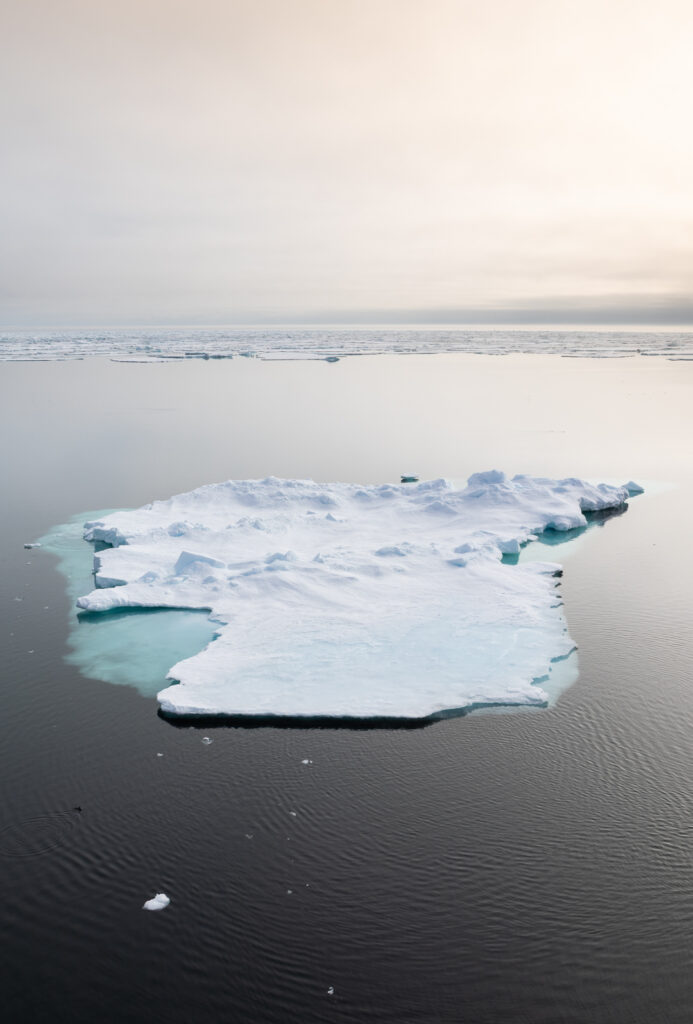Treibeis mit Eisscholle in Sptizbergen