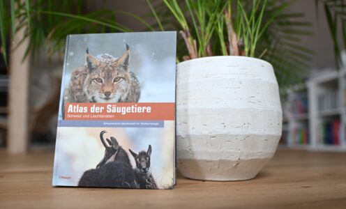 Buchreview zum «Atlas der Säugetiere – Schweiz und Liechtenstein»