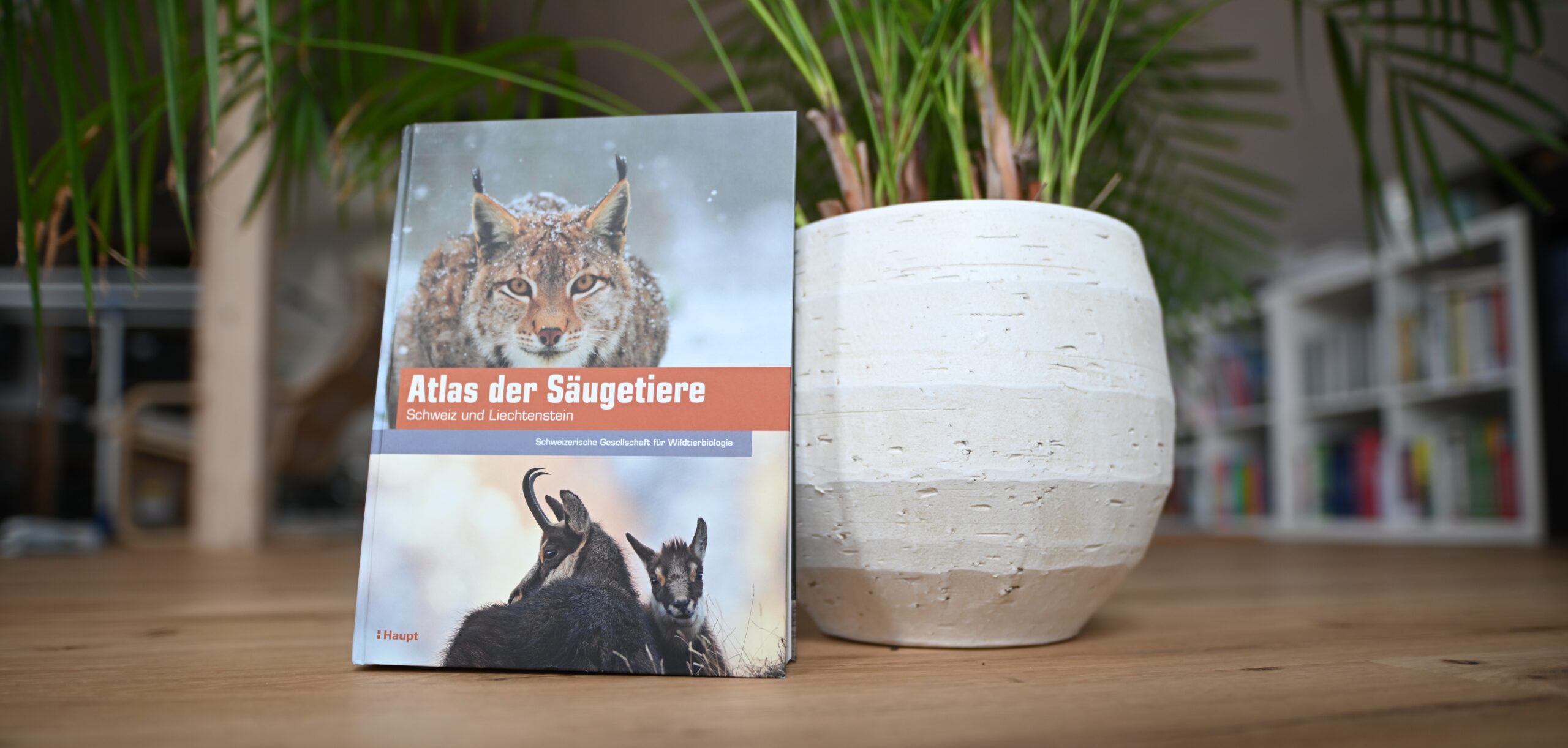 Buchreview zum «Atlas der Säugetiere – Schweiz und Liechtenstein»
